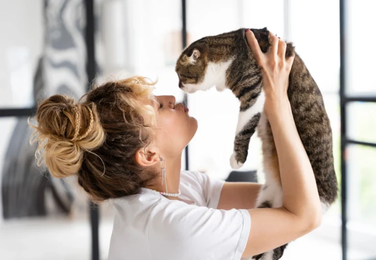 camera to watch pets at home