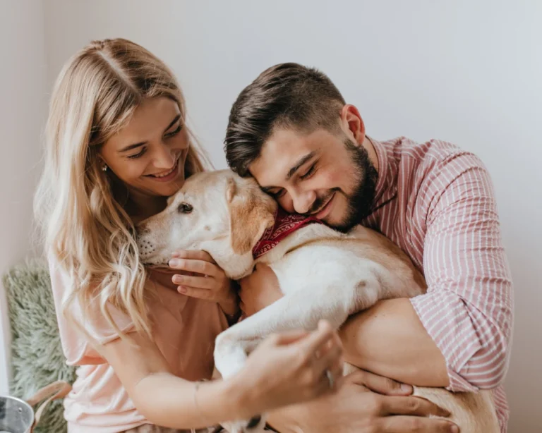 top rated automatic pet feeder