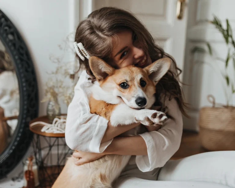 dog food feeder automatic